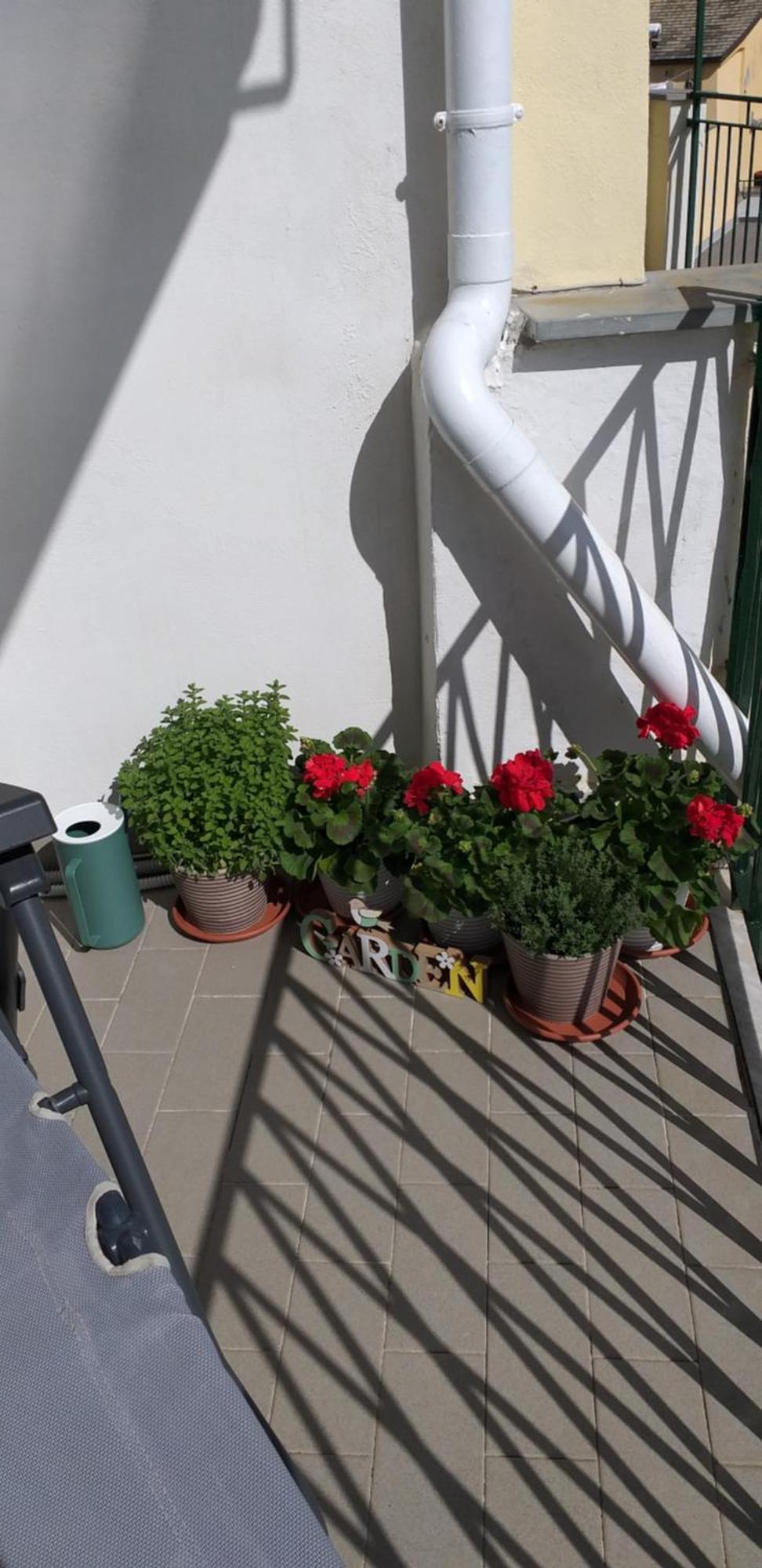 Aa Ciasea Duu Pintuu Daire Riomaggiore Dış mekan fotoğraf